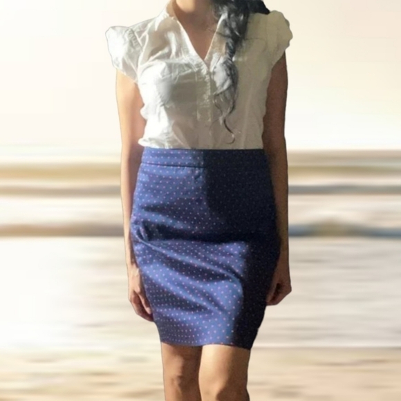 J.Crew Womens No.2 Pencil Skirt Blue With Red Polka dot Size 0 - Picture 1 of 11